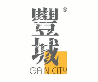Gain City
